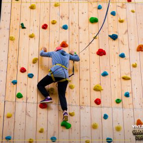DSC02667 (1)